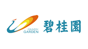 碧桂园 预算编制